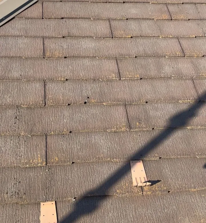 塗装で屋根を守る千葉県柏市の賢いメンテナンス術と業者選びのポイント